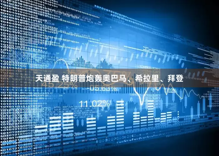 天通盈 特朗普炮轰奥巴马、希拉里、拜登